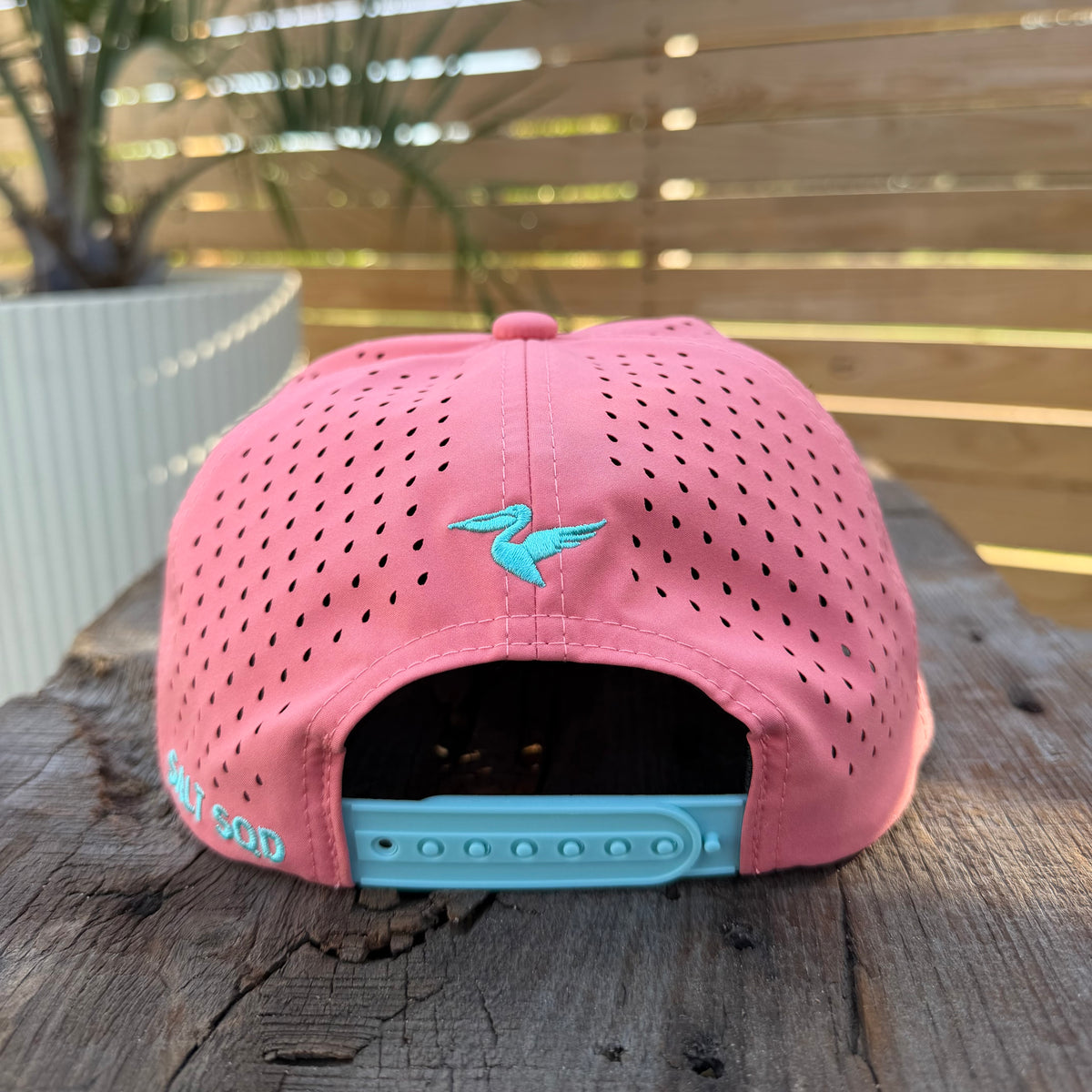 Salt SQD Coastal Reserve Cap in Hogfish, rear view showing perforated panels, snapback closure, and Salt SQD branding