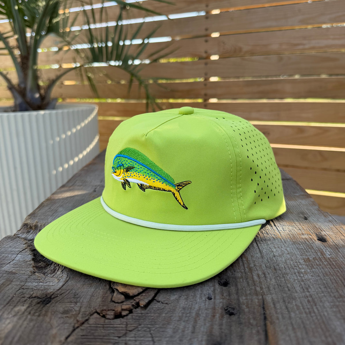 Salt SQD Mahi Mahi Baseball Cap in Bright Lime Green, featuring a colorful embroidered fish on the front, displayed on a rustic wooden surface with a wooden slat wall and a potted plant in the background
