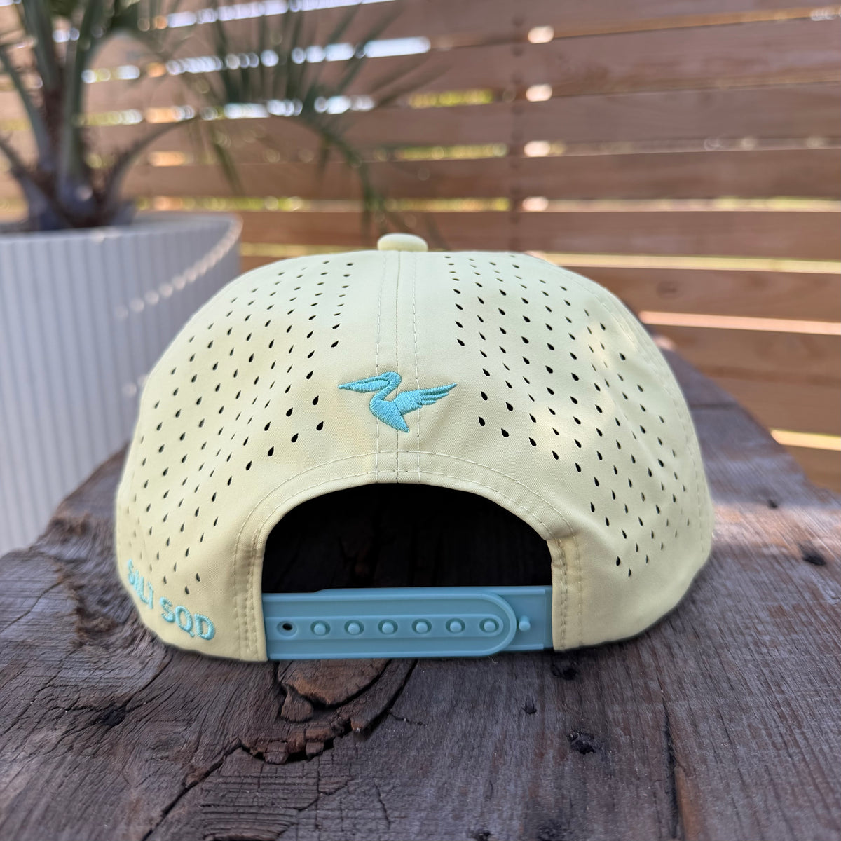 Salt SQD Coastal Icons Cap in Roosterfish, rear view showing perforated panels, snapback closure, and Salt SQD branding