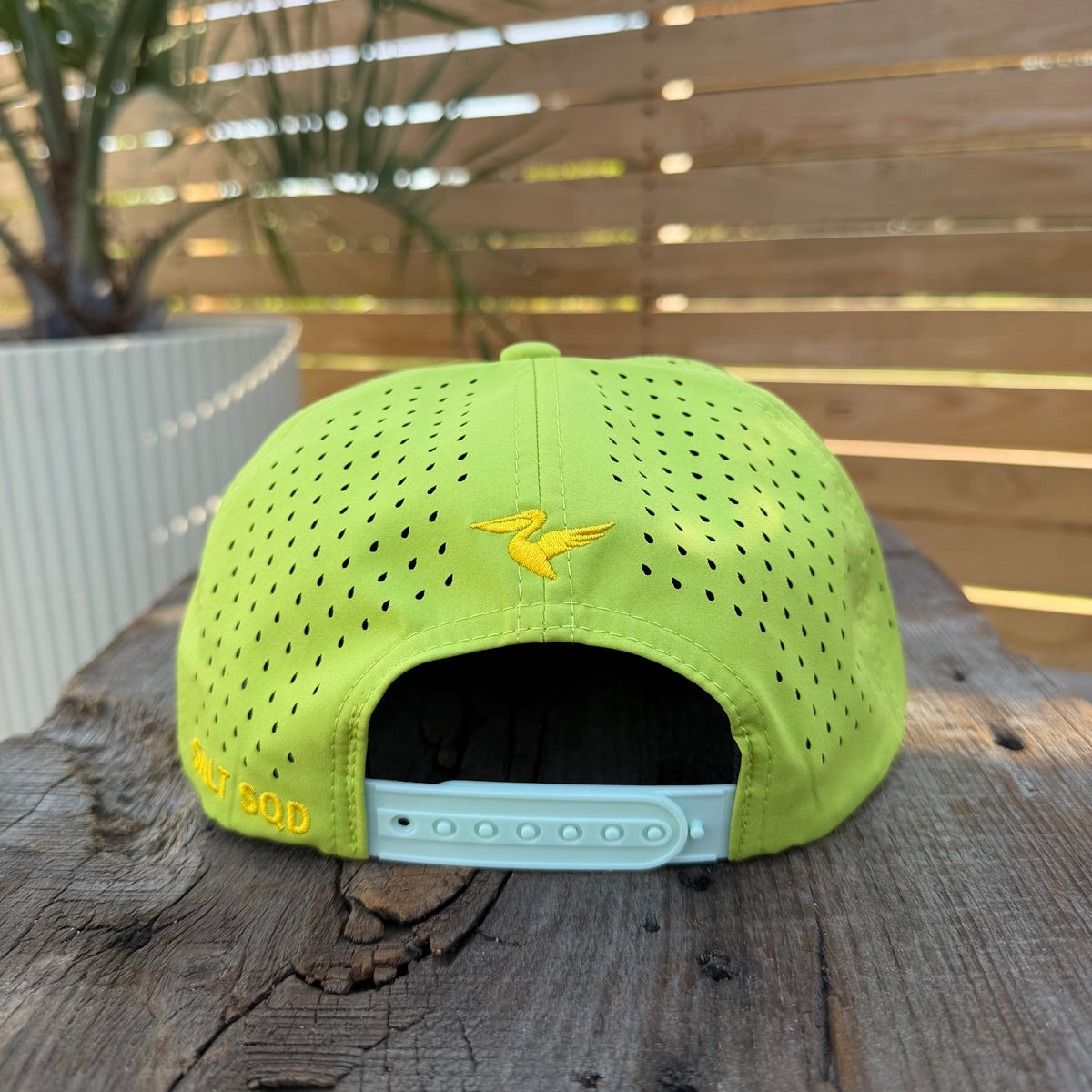 Salt SQD Coastal Reserve Cap in Mahi Mahi, rear view showing perforated panels, snapback closure, and Salt SQD branding