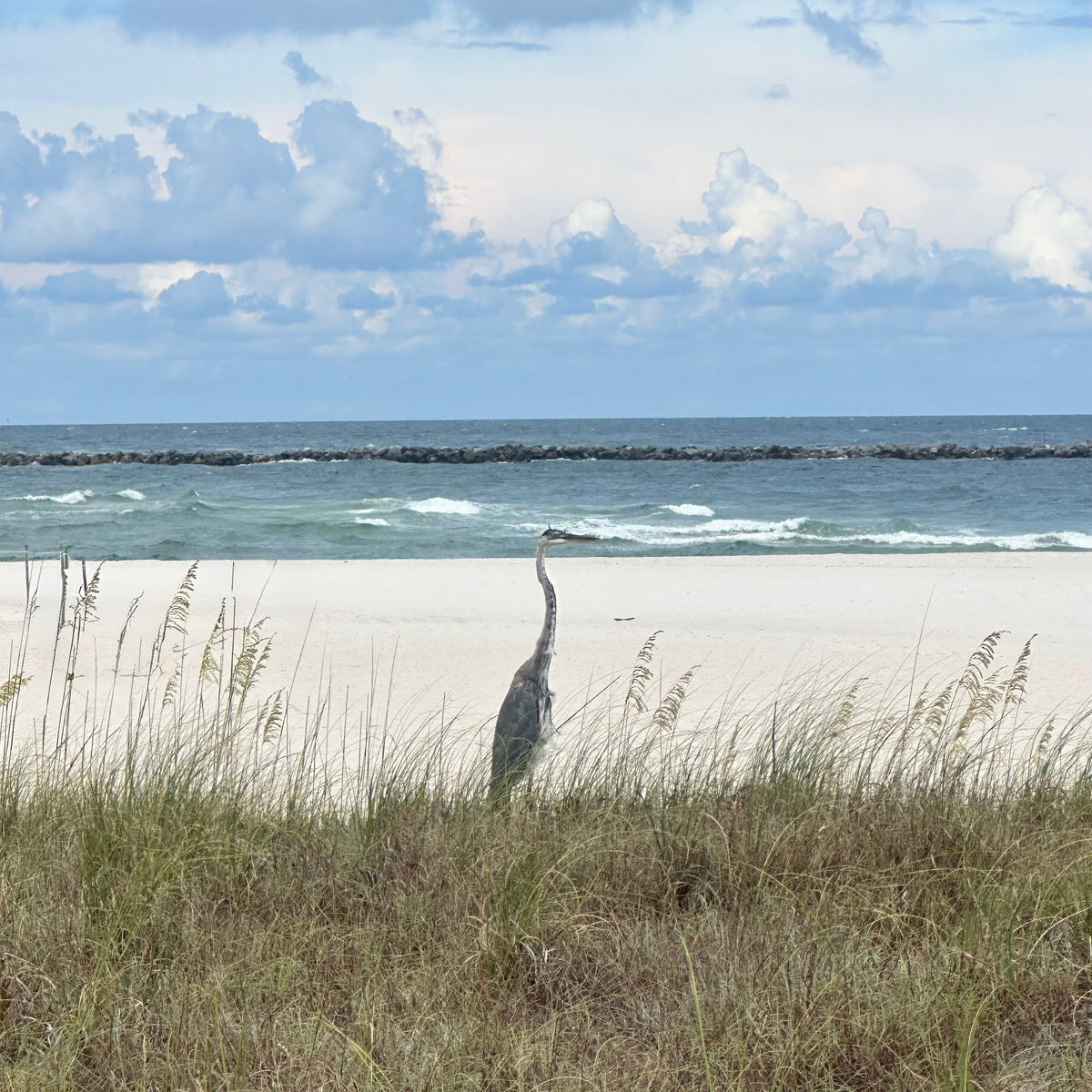 Saltwater fishing apparel designed for coastal living